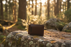 Smooth Leather Wallet on Rock in Woods